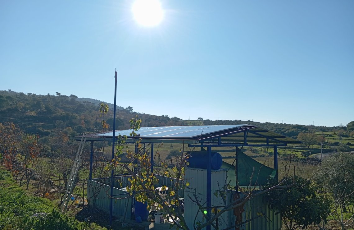 MUSTAFA SEVER 5433405684